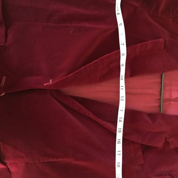 Velvet Blazer - Picture 8 of 8